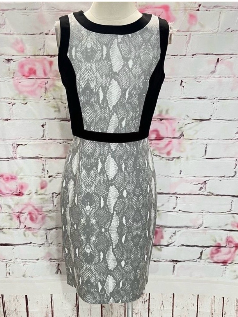 Calvin Klein Sleeveless Gray Snake-Print Sheath Dress Black Trim NWOT Size 4